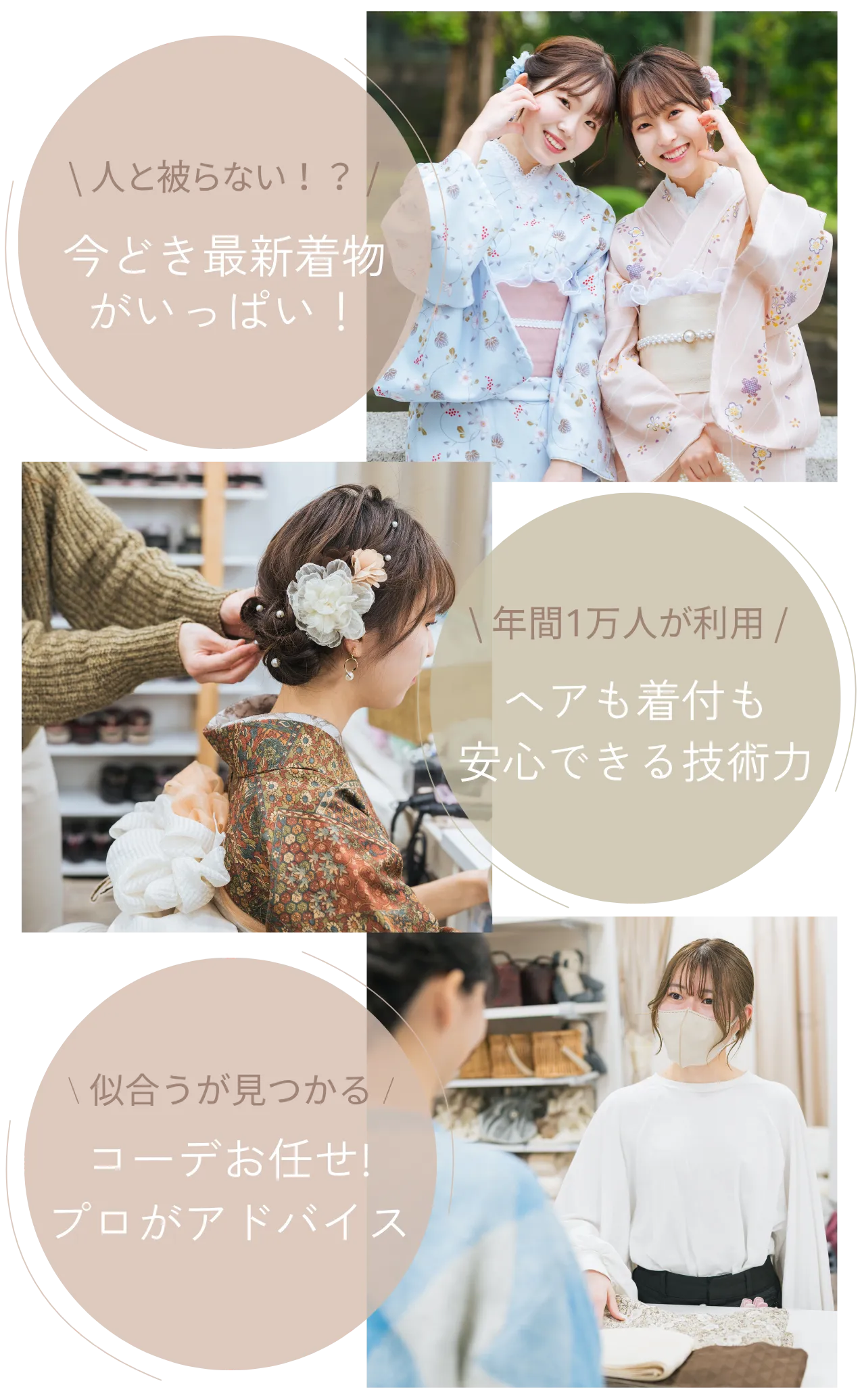 セクション画像